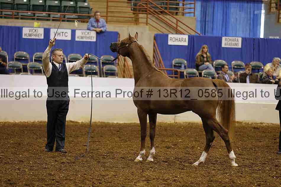 Proof 13r12_0585