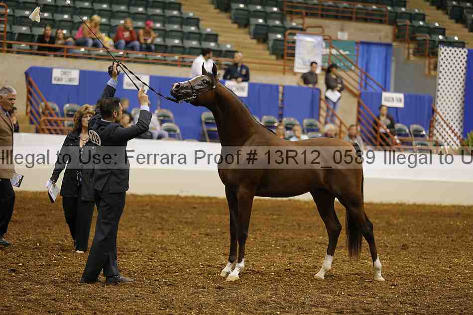 Proof 13r12_0589