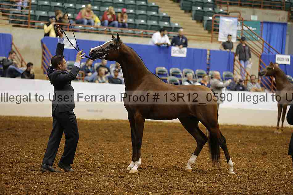 Proof 13r12_0590