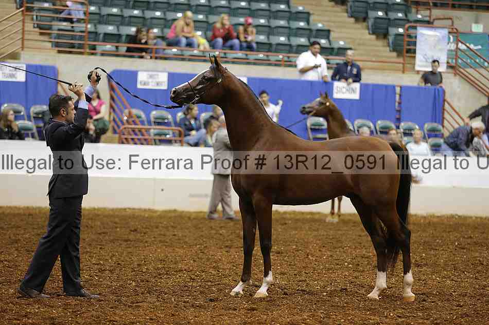 Proof 13r12_0591