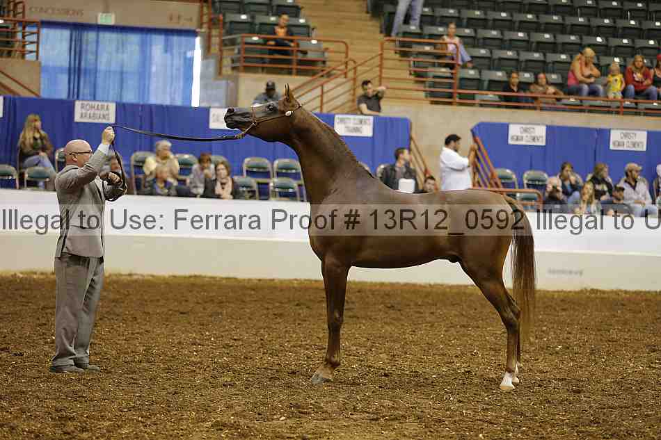 Proof 13r12_0592