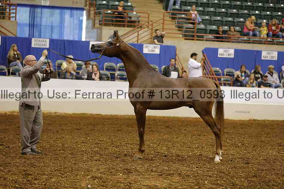 Proof 13r12_0593