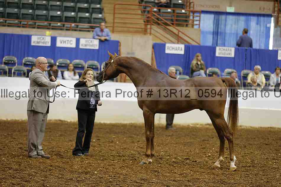 Proof 13r12_0594