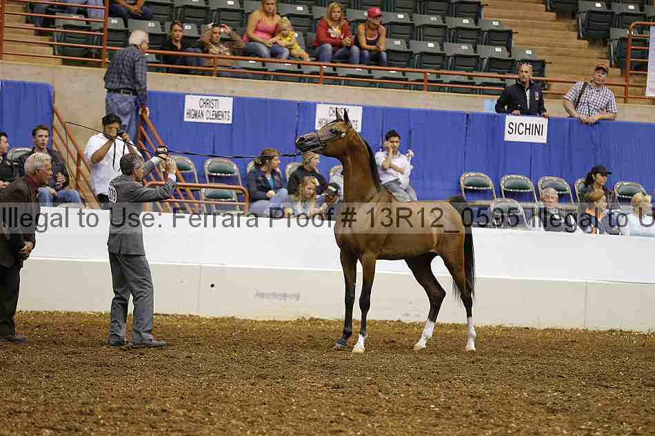 Proof 13r12_0595