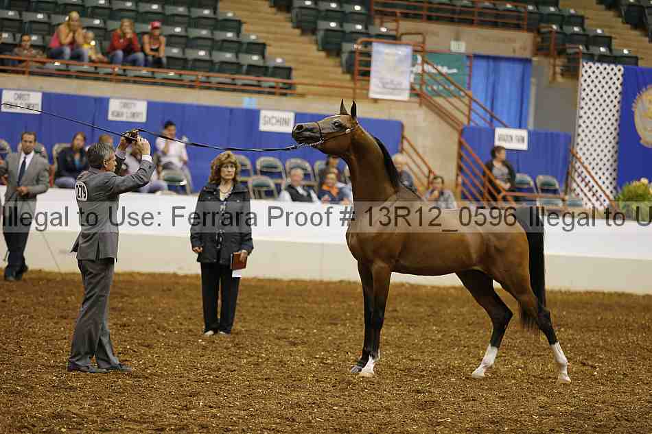 Proof 13r12_0596