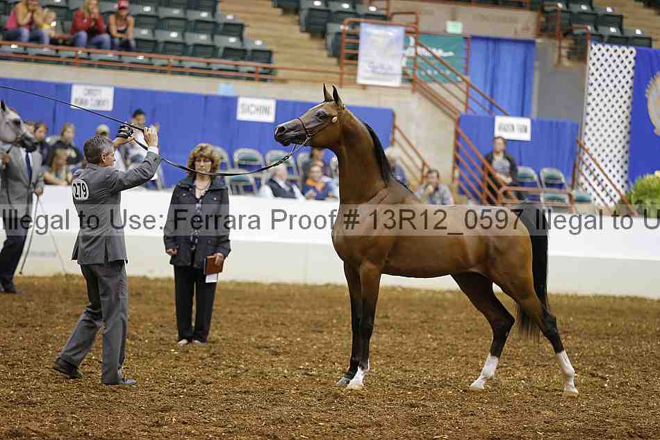 Proof 13r12_0597