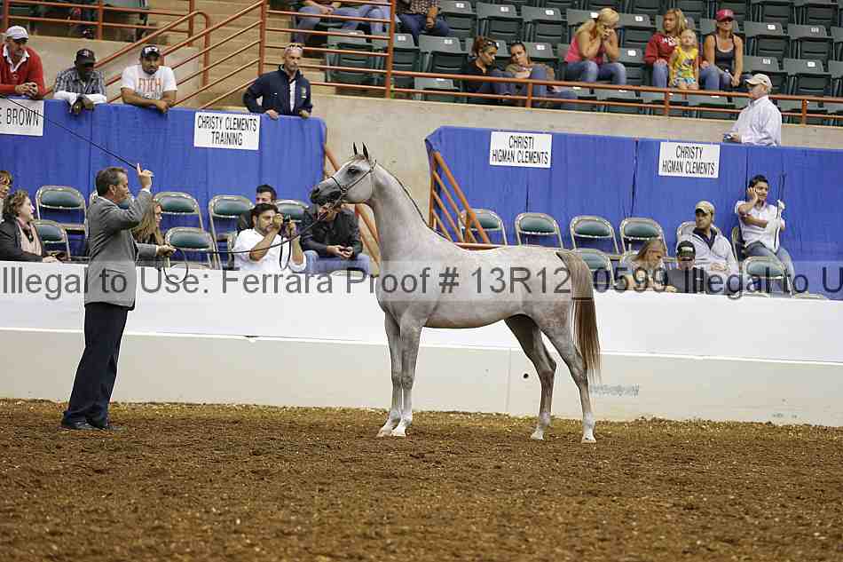 Proof 13r12_0599