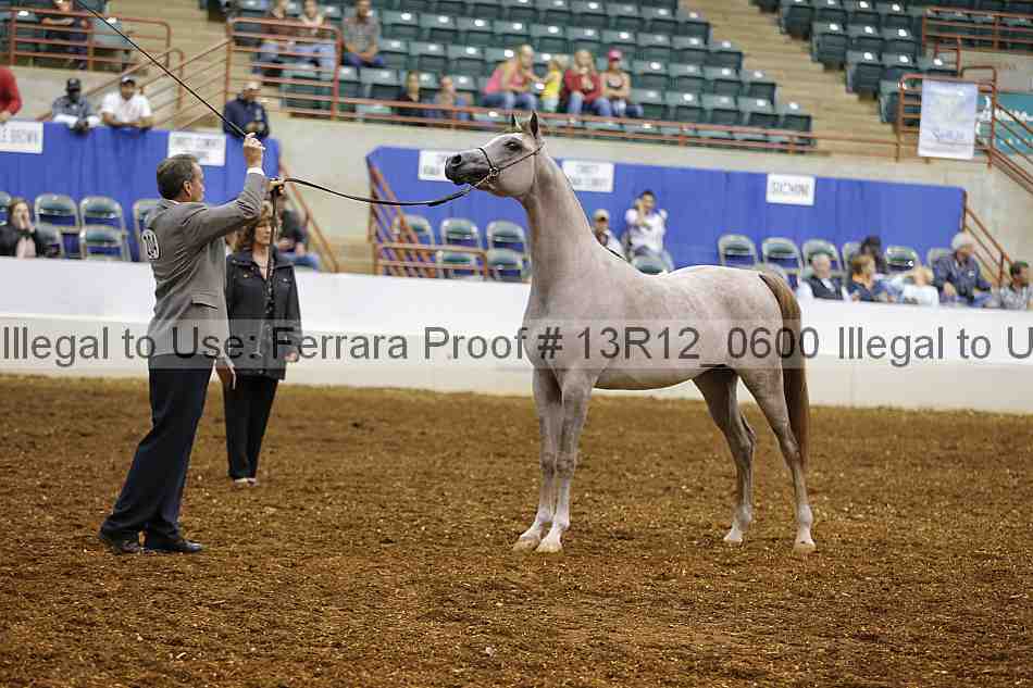 Proof 13r12_0600