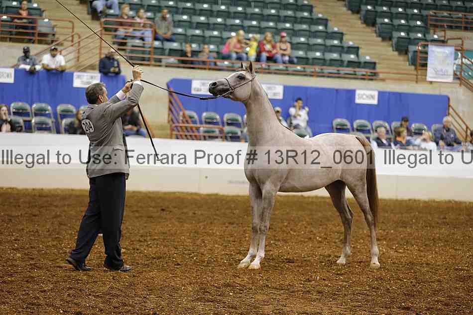 Proof 13r12_0601