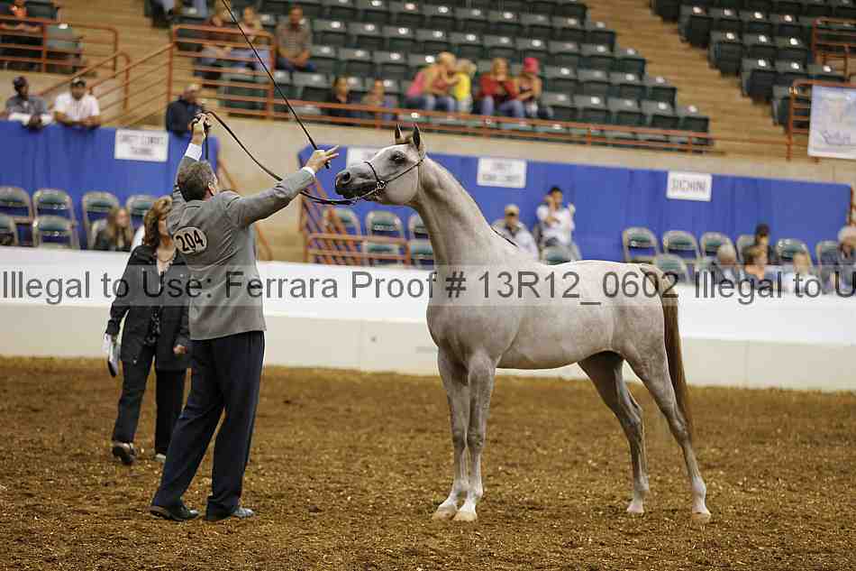 Proof 13r12_0602