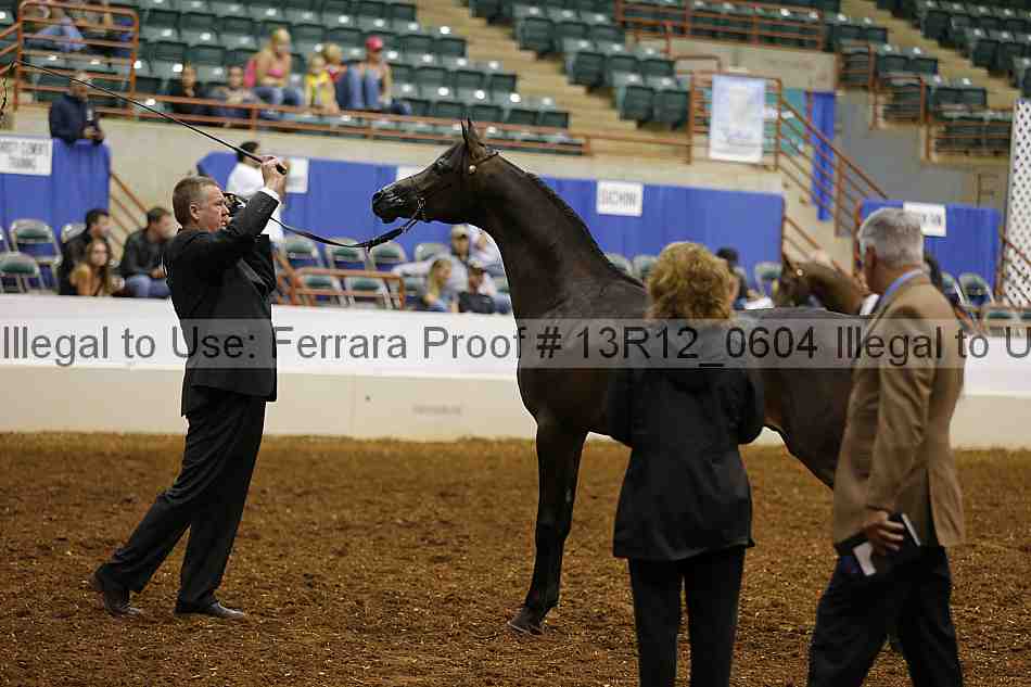 Proof 13r12_0604