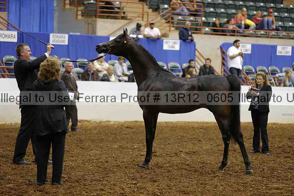 Proof 13r12_0605