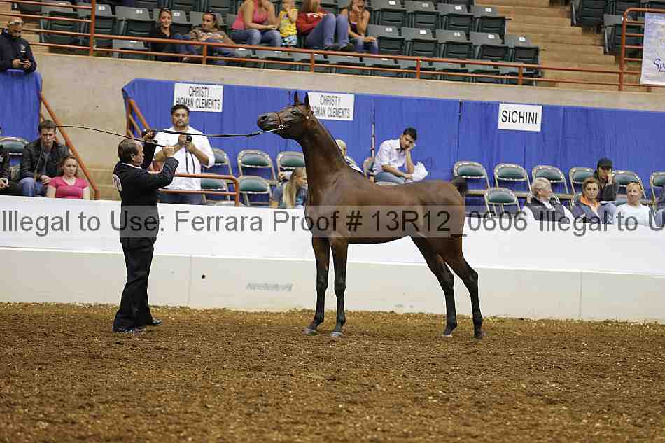 Proof 13r12_0606
