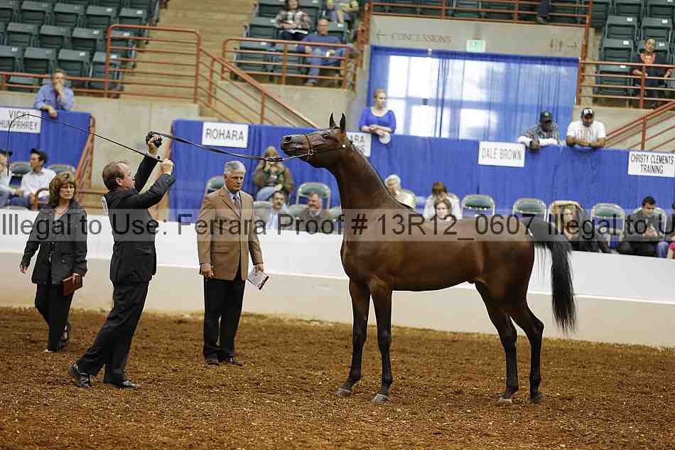 Proof 13r12_0607