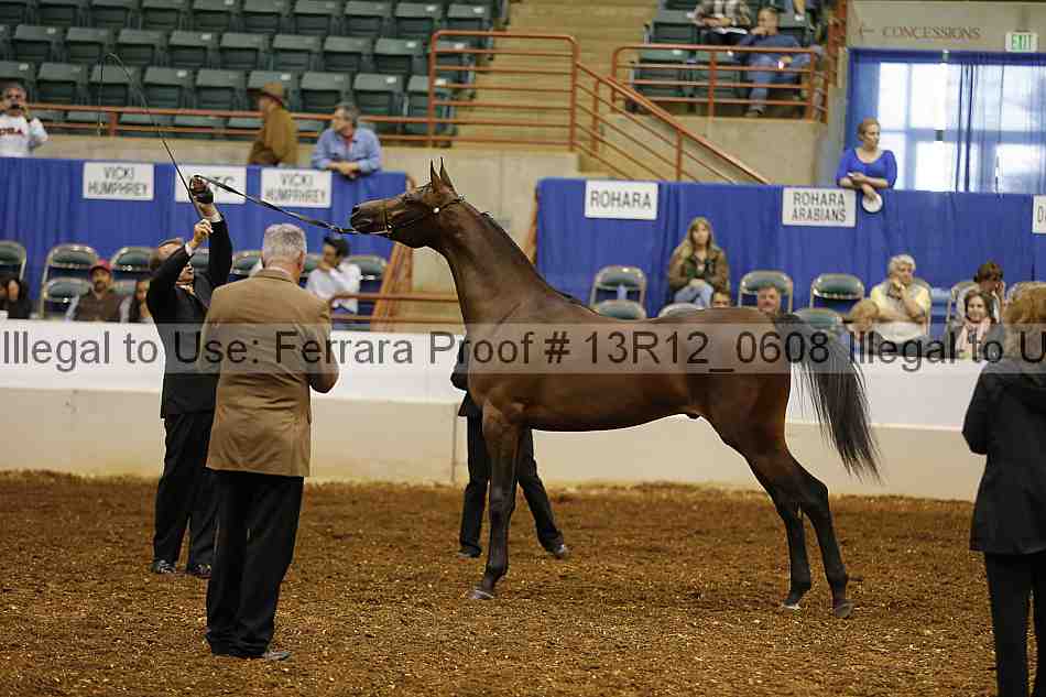 Proof 13r12_0608