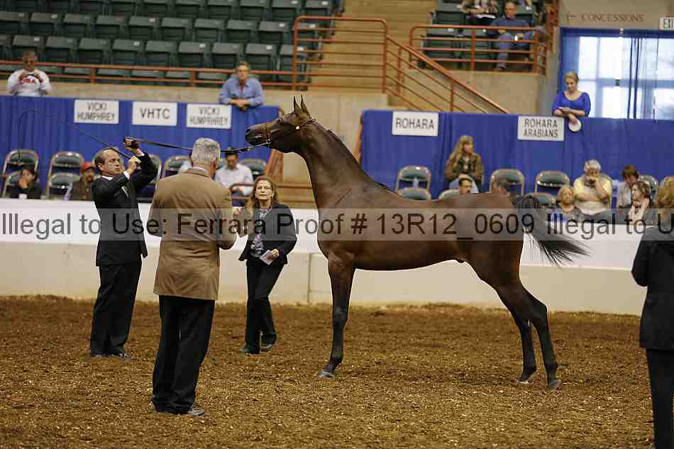 Proof 13r12_0609