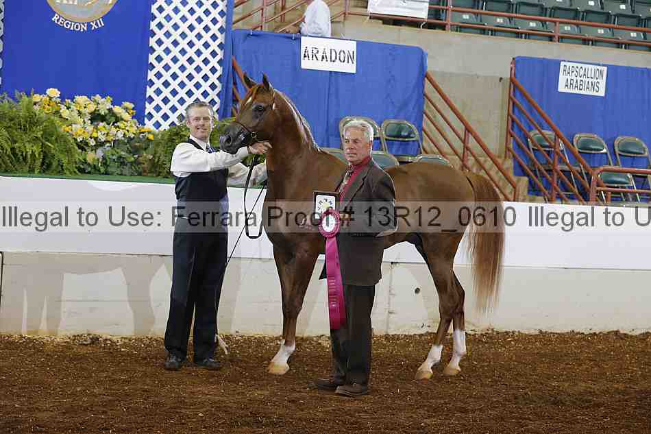 Proof 13r12_0610