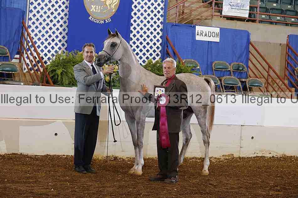 Proof 13r12_0613