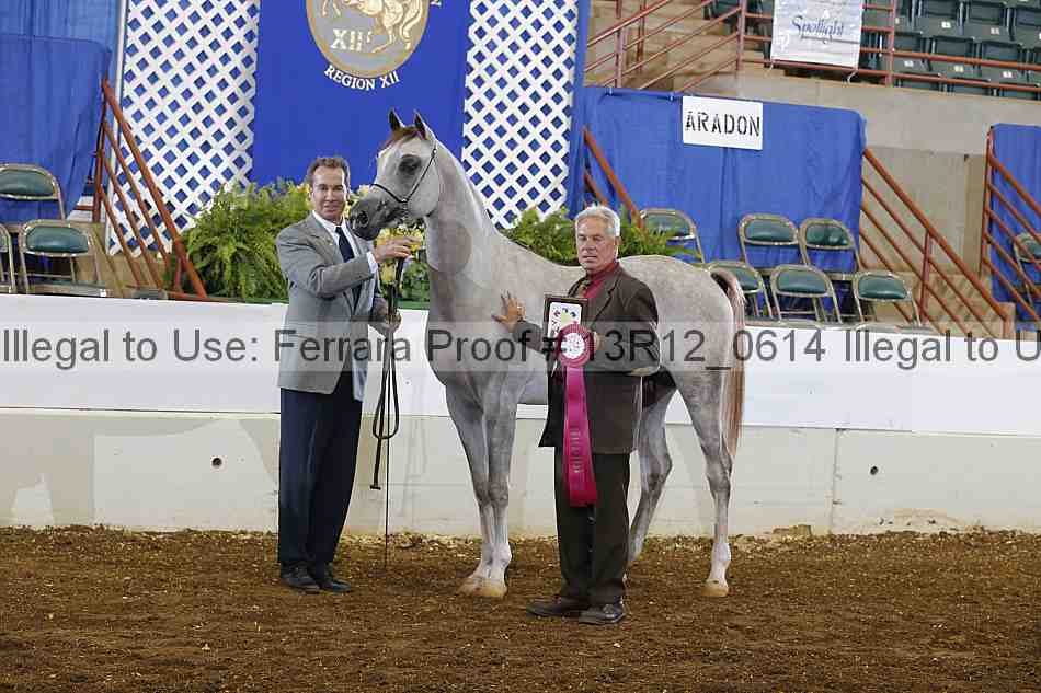 Proof 13r12_0614