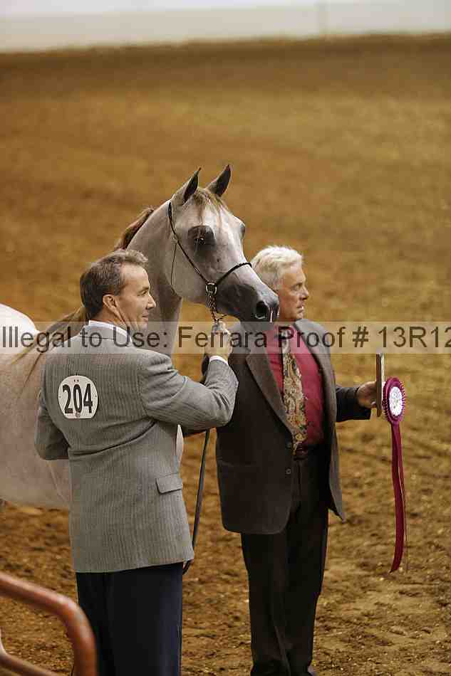Proof 13r12_0615