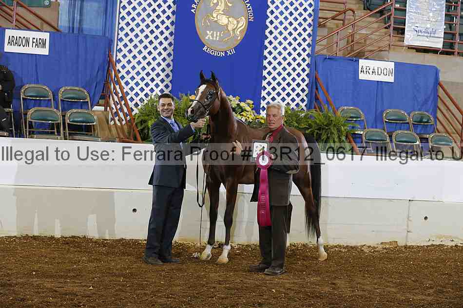 Proof 13r12_0617