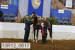 13r12_0617 proof