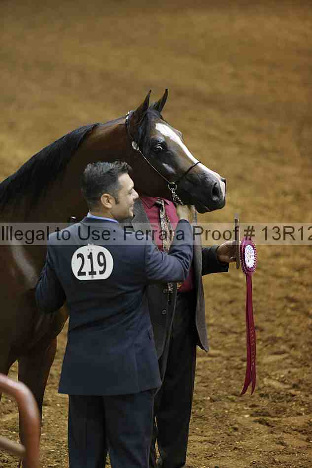 Proof 13r12_0618