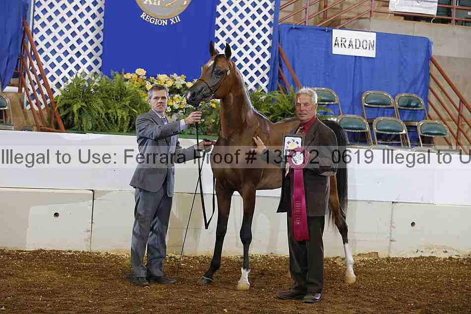 Proof 13r12_0619