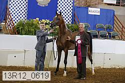 13r12_0619 proof