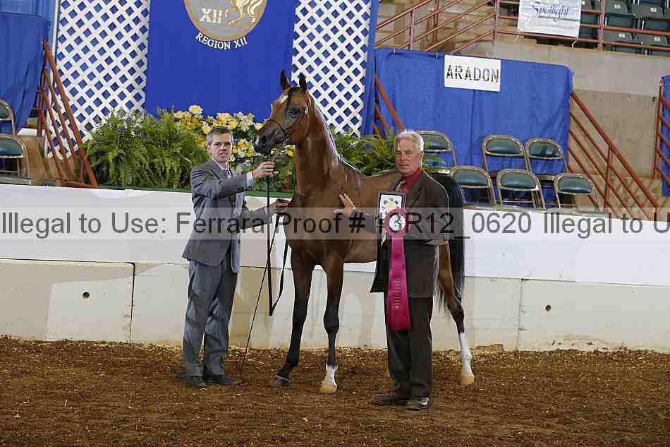 Proof 13r12_0620