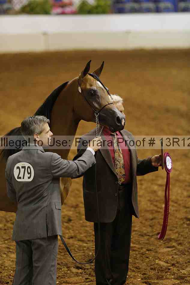 Proof 13r12_0621