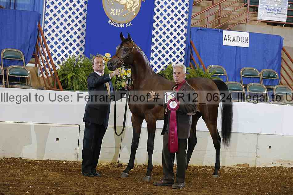 Proof 13r12_0624