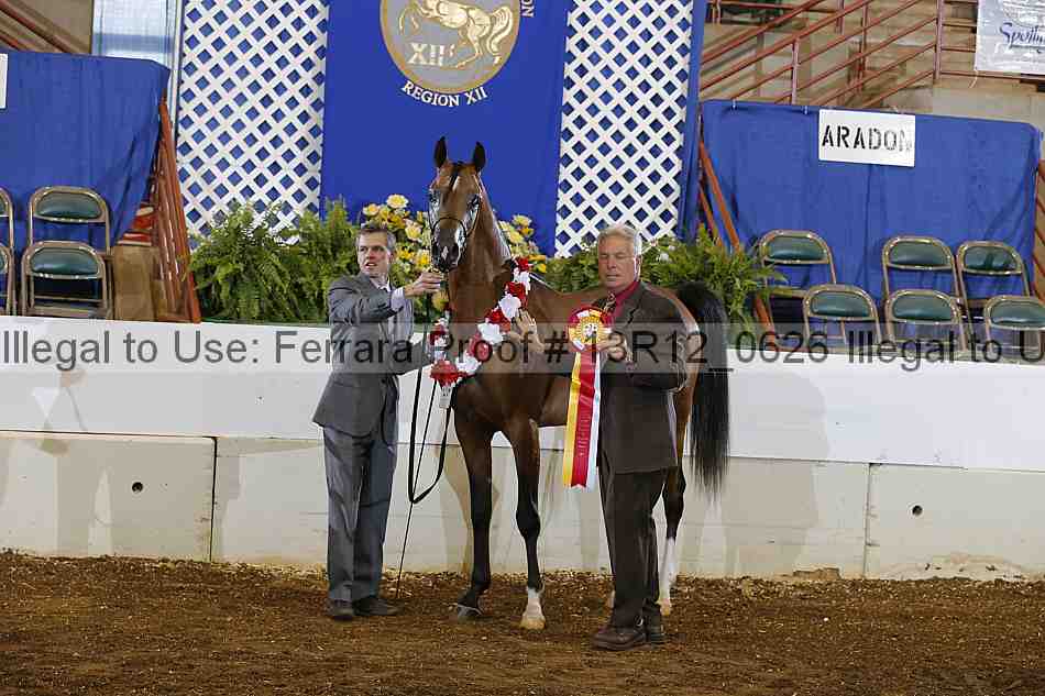 Proof 13r12_0626