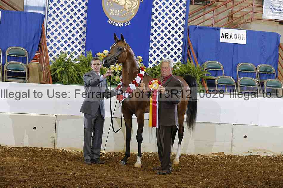 Proof 13r12_0628
