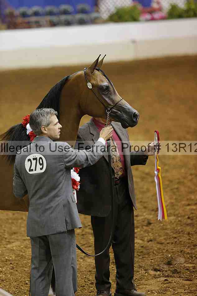 Proof 13r12_0629