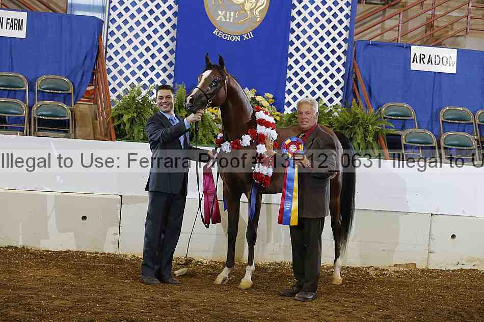 Proof 13r12_0631
