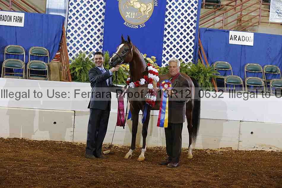 Proof 13r12_0632