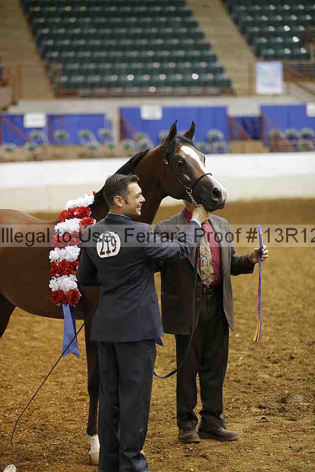 Proof 13r12_0633