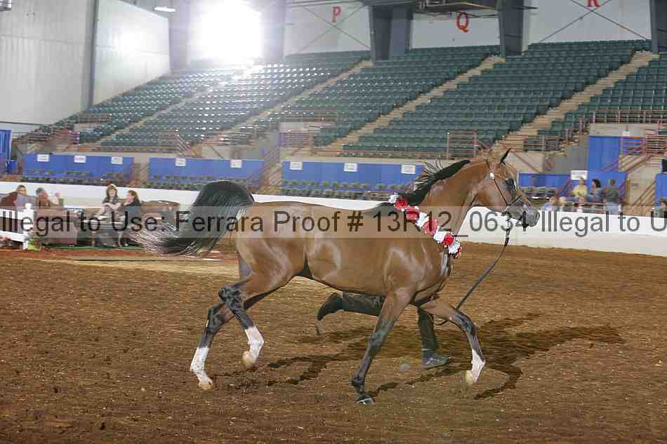 Proof 13r12_0634