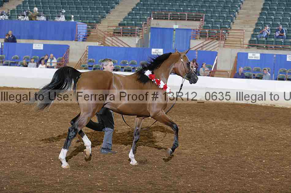 Proof 13r12_0635