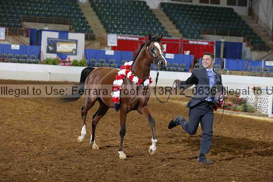 Proof 13r12_0636