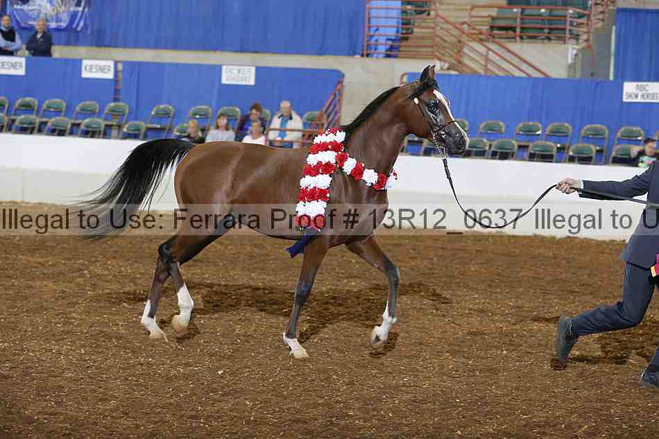 Proof 13r12_0637
