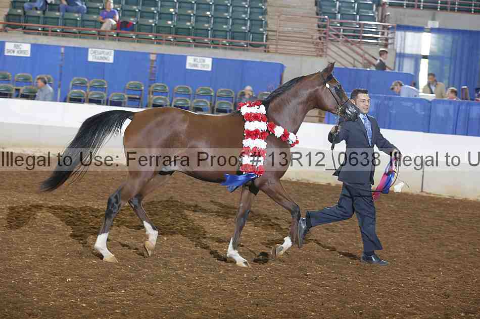 Proof 13r12_0638