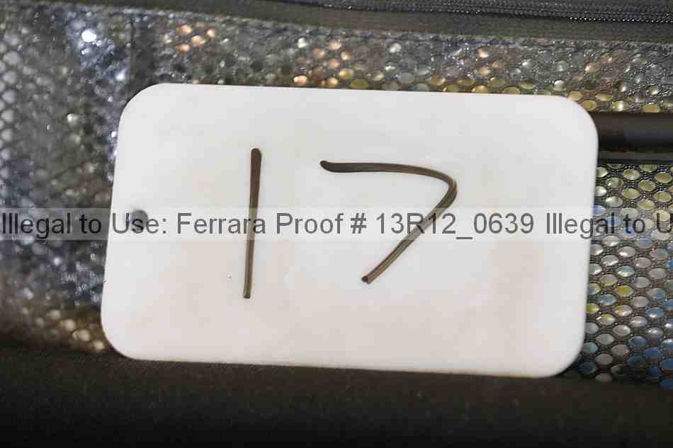 Proof 13r12_0639