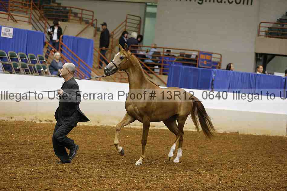 Proof 13r12_0640