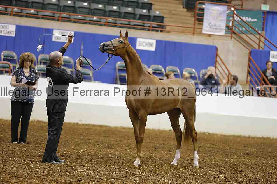 Proof 13r12_0641