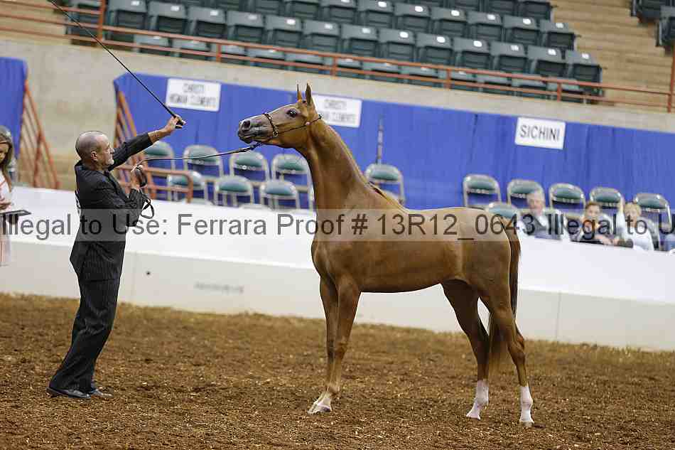 Proof 13r12_0643