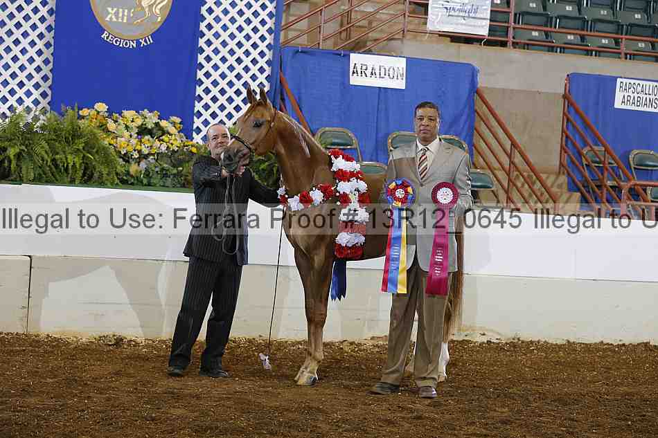 Proof 13r12_0645
