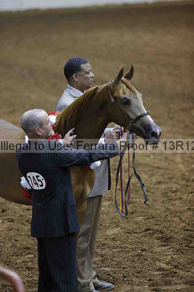 Proof 13r12_0646