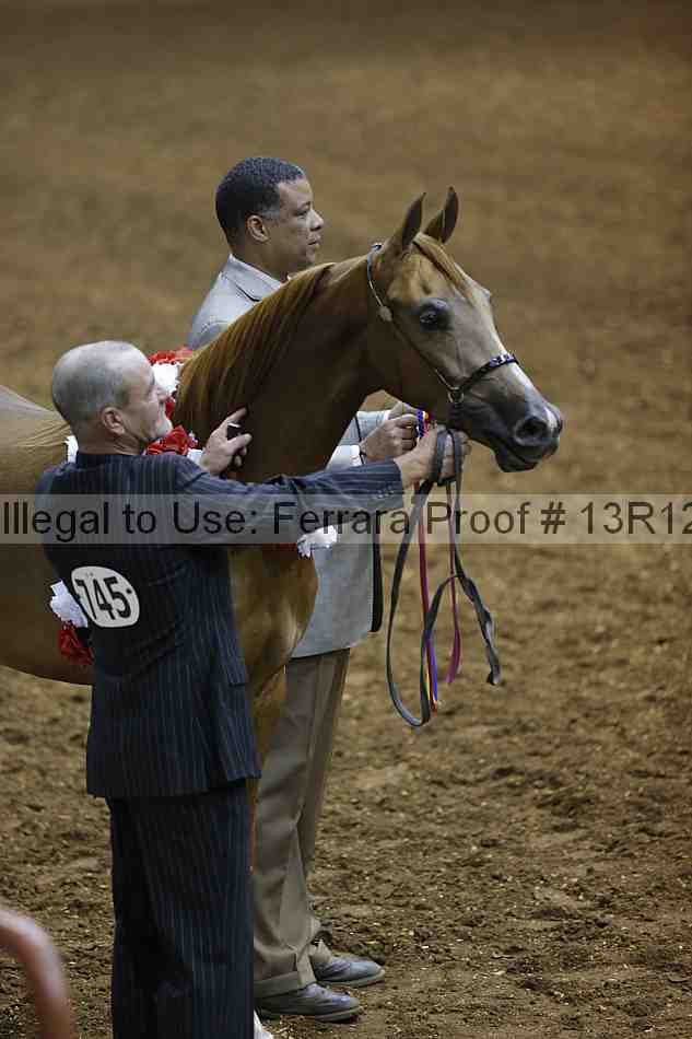 Proof 13r12_0647